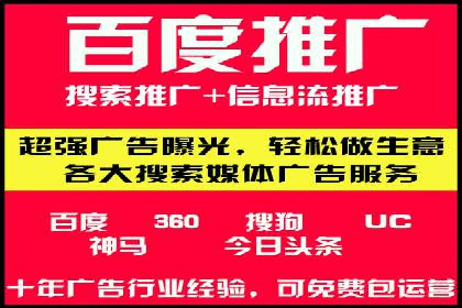 百度竞价广告投放策略：案例分析及效果评估